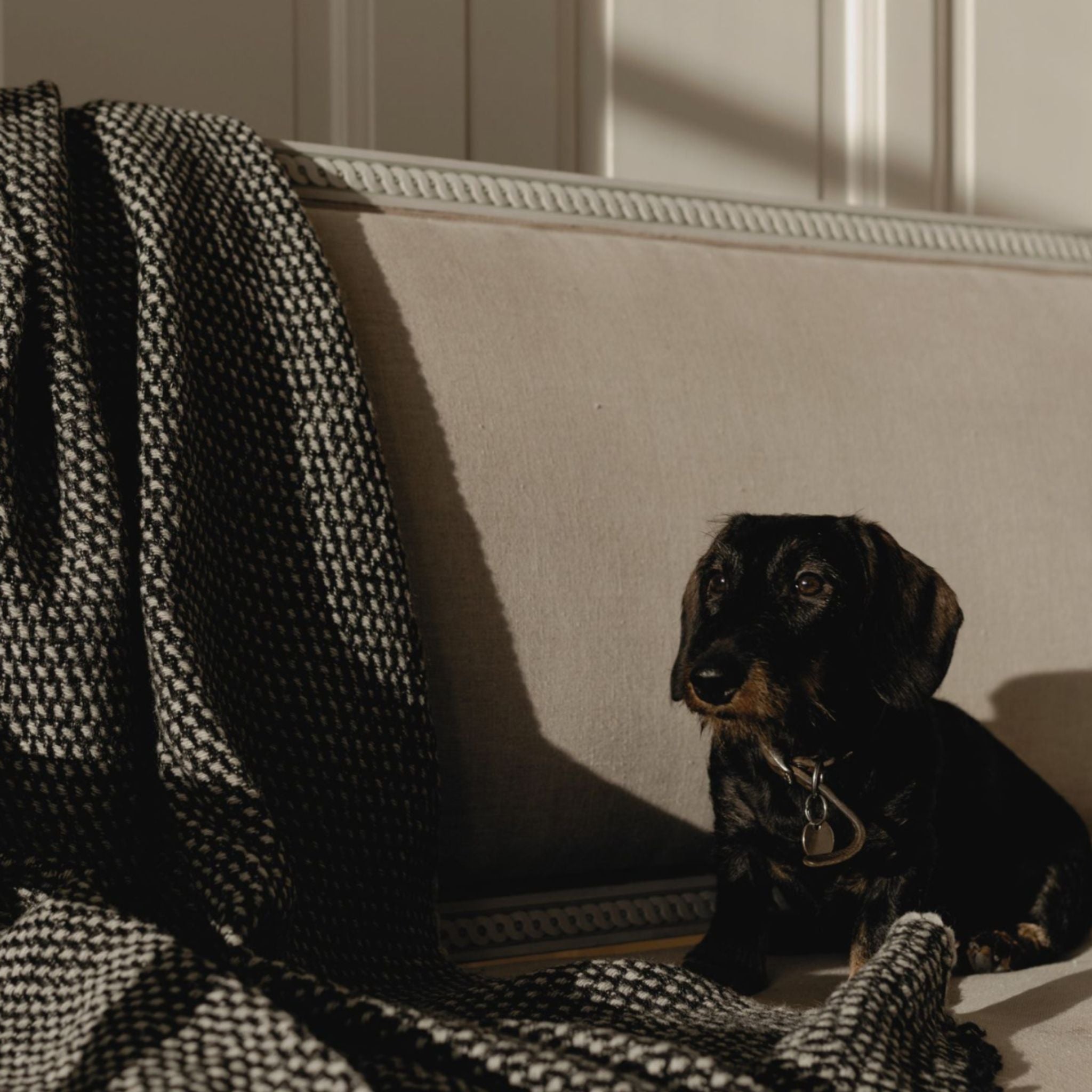 Textured white and black throw made from responsibly sourced sheep wool, manufactured in Finland.