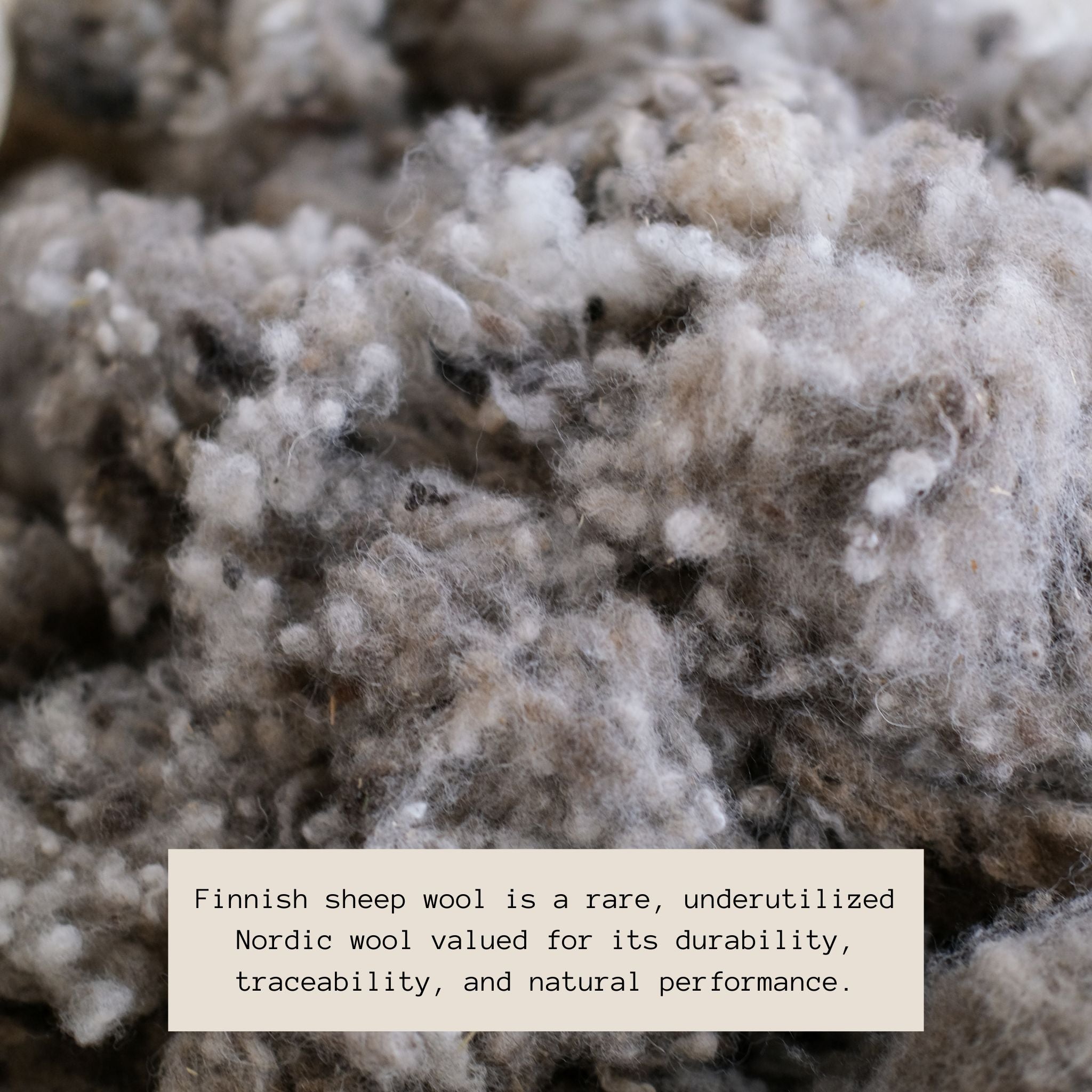 Fredrik wool sweater made of Finnish sheep wool, structured and durable Nordic knitwear, eco-friendly and traceable material.