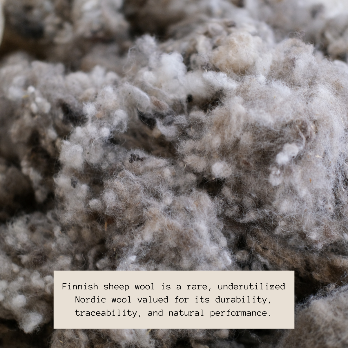 Finnish sheep wool is rare, underutilized Nordic wool valued for its durability, traceability, and natural performance. 